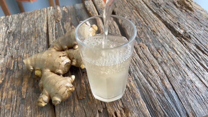 ginger beer - Carbonation Levels