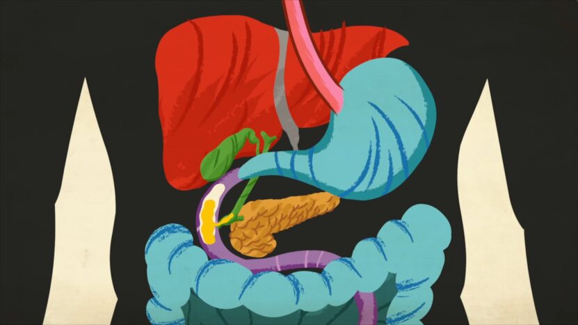 alcohol and digestive system