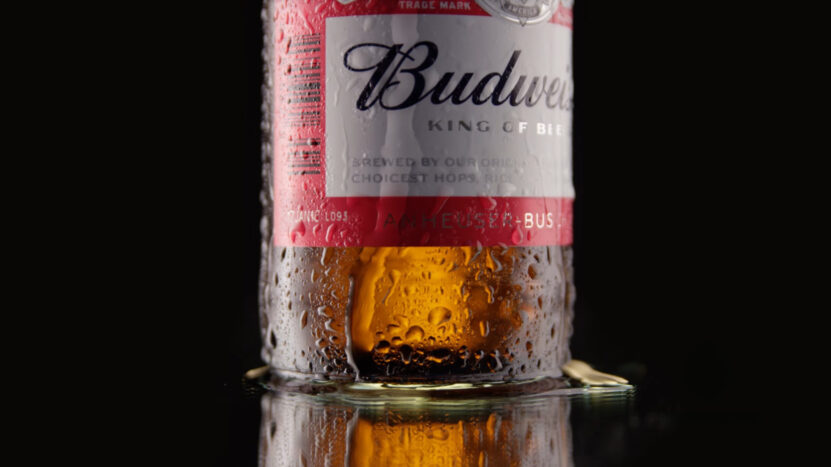 Budweiser Beer